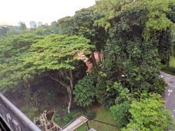 Botanic Gardens View (D10), Apartment #503884121